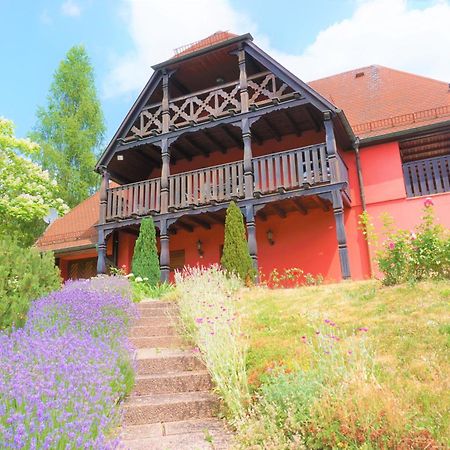 Le Chalet - Les Terrasses D'Albe - Grande Maison Au Pied Du Vignoble, Calme - Terrasse - Parking Gratuit Villa Buitenkant foto